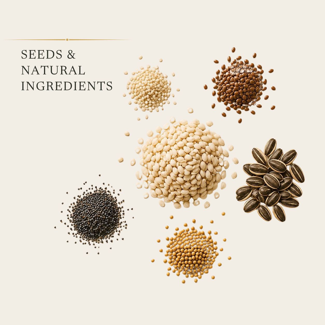 Premium seeds and natural ingredients including sesame seeds, flax seeds, sunflower seeds, poppy seeds and yellow mustard seeds arranged in a curated collection display.